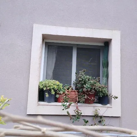 Irene's House